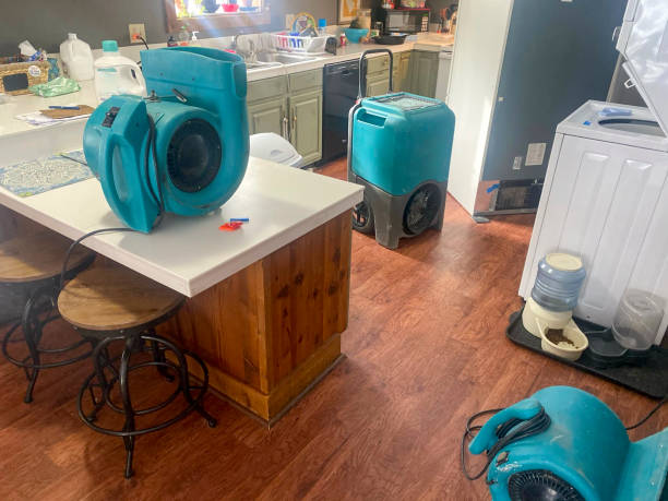 Best Residential water damage restoration  in Prague, OK