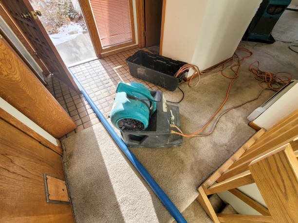 Best Emergency water damage restoration  in Prague, OK