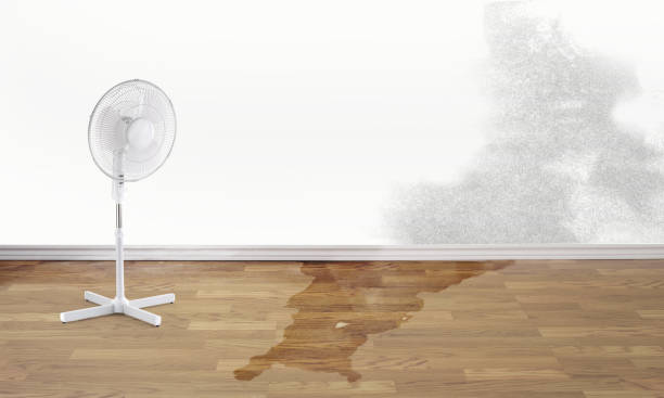 Trusted Prague, OK Water damage restoration Experts