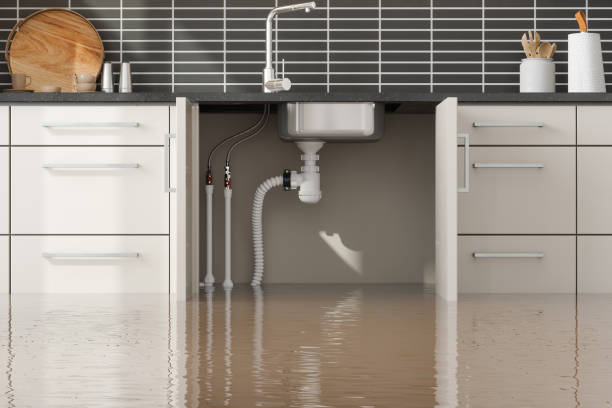 Best Water damage contractors near me  in Prague, OK