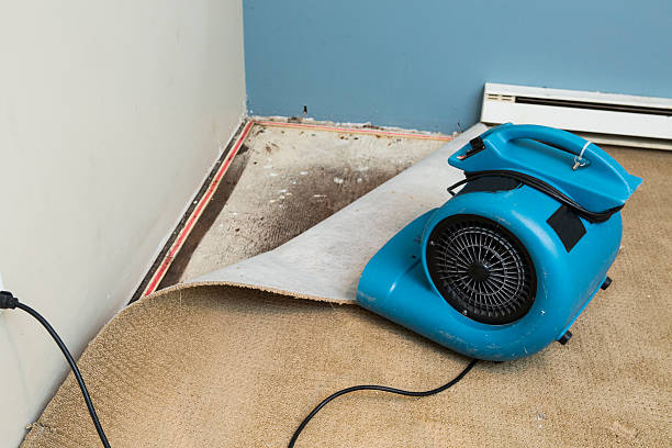 Best Water damage restoration cost  in Prague, OK
